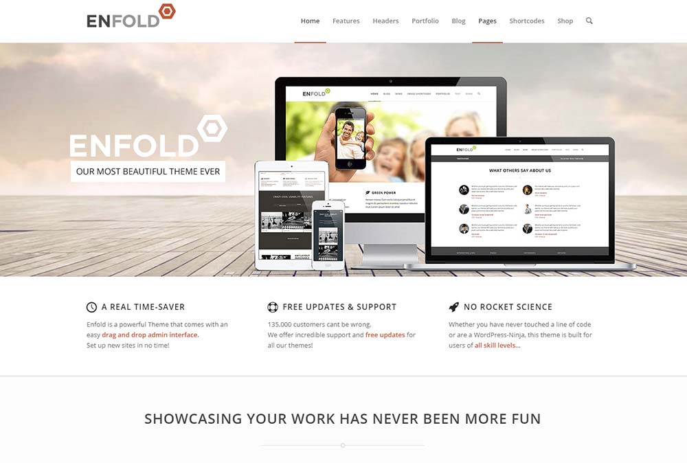Enfold theme - скриншот главного фото темы.