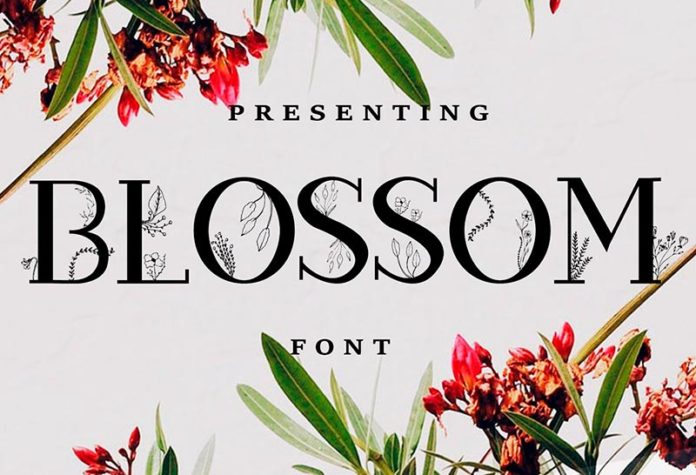 Шрифт Blossom бесплатно